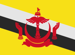 Brunei झंडा
