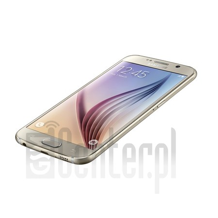 imei.info에 대한 IMEI 확인 SAMSUNG G920FD Galaxy S6