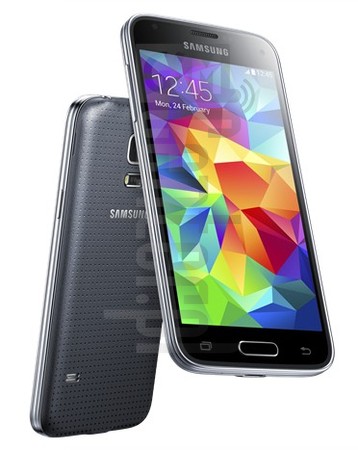 Pemeriksaan IMEI SAMSUNG G800F Galaxy S5 mini di imei.info