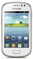 SAMSUNG S6810P GALAXY Fame