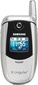 SAMSUNG E317