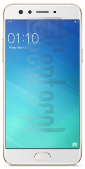 IMEI Check OPPO F3 on imei.info