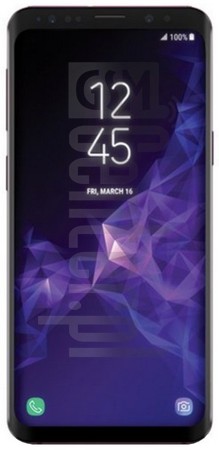 IMEI Check SAMSUNG Galaxy S9+ on imei.info