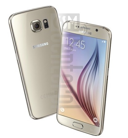 在imei.info上的IMEI Check SAMSUNG G920F Galaxy S6