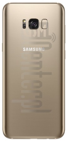 Vérification de l'IMEI SAMSUNG G950F Galaxy S8 sur imei.info