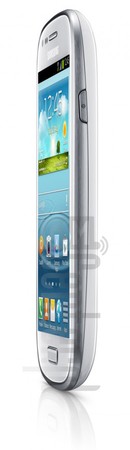 IMEI Check SAMSUNG I8190L Galaxy S III mini on imei.info