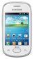 SAMSUNG S5282 Galaxy Star Duos