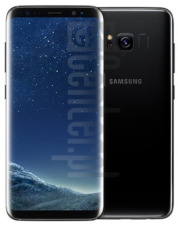 Vérification de l'IMEI SAMSUNG G950F Galaxy S8 sur imei.info