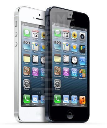 Vérification de l'IMEI APPLE iPhone 5 sur imei.info