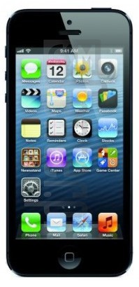 Vérification de l'IMEI APPLE iPhone 5 sur imei.info