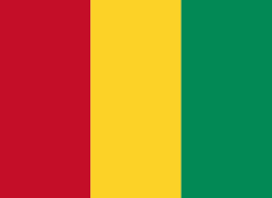 Guinea 旗帜