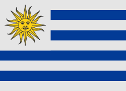Uruguay 旗帜