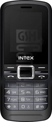 Pemeriksaan IMEI INTEX Nano X di imei.info