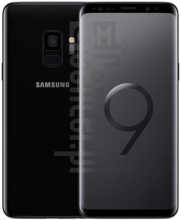 Vérification de l'IMEI SAMSUNG Galaxy S9 sur imei.info