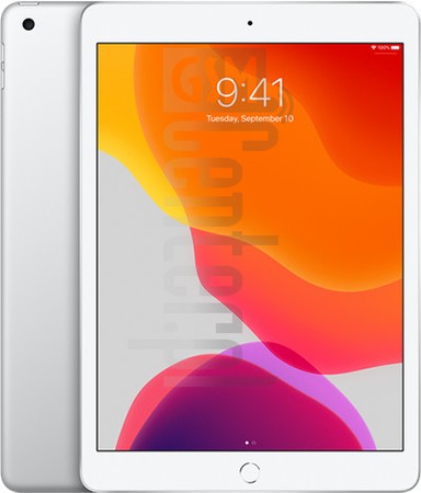 IMEI चेक APPLE iPad 7 Wi-Fi + Cellular imei.info पर