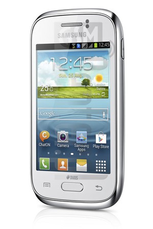 Verificación del IMEI  SAMSUNG S6310 Galaxy Young en imei.info