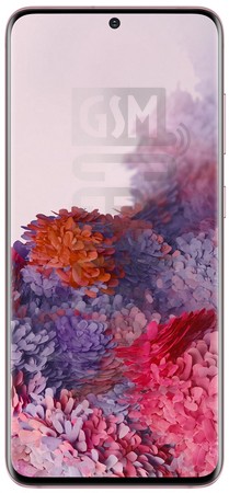 Skontrolujte IMEI SAMSUNG Galaxy S20 5G Exynos na imei.info
