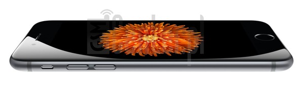 Pemeriksaan IMEI APPLE iPhone 6 Plus di imei.info