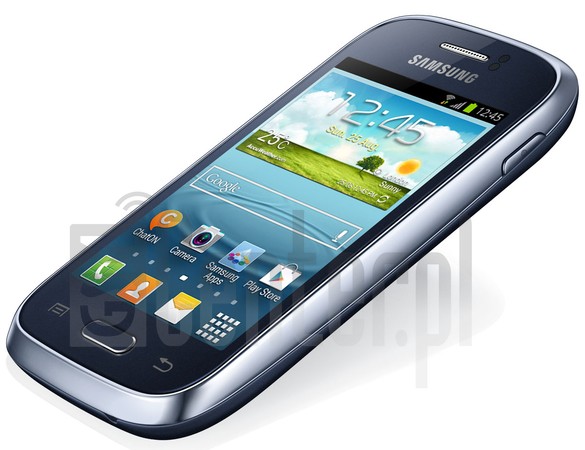 在imei.info上的IMEI Check SAMSUNG S6310L Galaxy Young