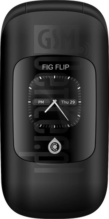 Kontrola IMEI FIG Flip na imei.info