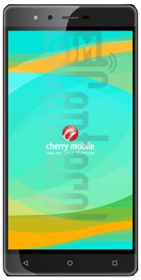 IMEI Check CHERRY MOBILE Flare XL2 on imei.info