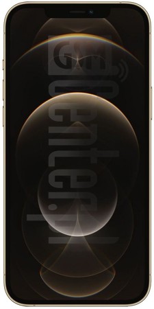 Pemeriksaan IMEI APPLE iPhone 12 Pro Max di imei.info