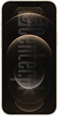 IMEI-Prüfung APPLE iPhone 12 Pro Max auf imei.info