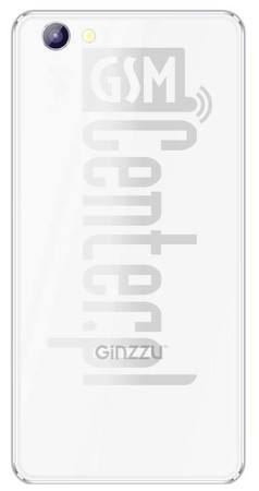在imei.info上的IMEI Check GINZZU S5040