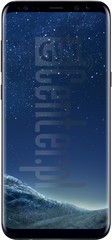ดาวน์โหลดเฟิร์มแวร์ SAMSUNG G950U  Galaxy S8 MSM8998