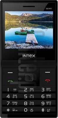 Kontrola IMEI INTEX Turbo Berry na imei.info