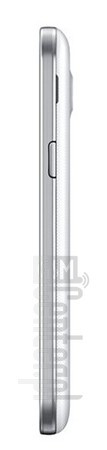 Vérification de l'IMEI SAMSUNG G350 Galaxy Core Plus sur imei.info