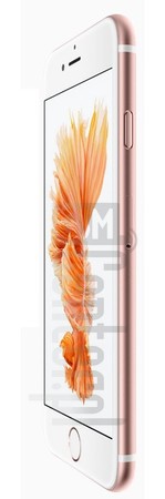 在imei.info上的IMEI Check APPLE iPhone 6S