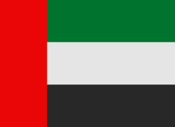 United Arab Emirates flag