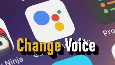 How to change Google Assistant voice? - news image on imei.info