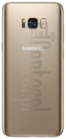 imei.info에 대한 IMEI 확인 SAMSUNG G955F Galaxy S8+