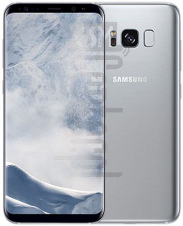 在imei.info上的IMEI Check SAMSUNG G955W Galaxy S8+
