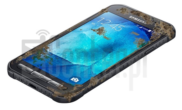 IMEI Check SAMSUNG G389F Galaxy Xcover 3 VE on imei.info