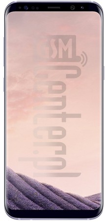 在imei.info上的IMEI Check SAMSUNG G955W Galaxy S8+