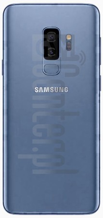 Vérification de l'IMEI SAMSUNG Galaxy S9+ Exynos sur imei.info
