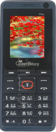 IMEI Check GREEN BERRY Play on imei.info