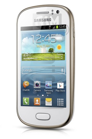 Pemeriksaan IMEI SAMSUNG S6810B Galaxy Fame di imei.info