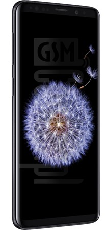 Pemeriksaan IMEI SAMSUNG Galaxy S9 di imei.info