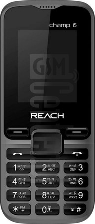 Pemeriksaan IMEI REACH Champ i5 di imei.info