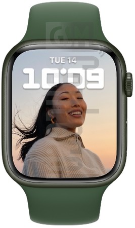 imei.infoのIMEIチェックAPPLE Watch Series 7 45mm