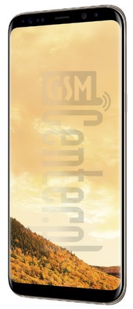 在imei.info上的IMEI Check SAMSUNG G955F Galaxy S8+