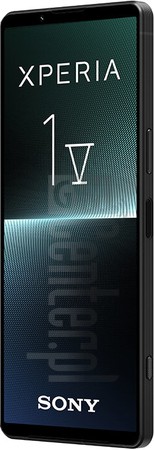 IMEI Check SONY Xperia 1 V Genshin on imei.info