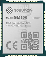 Verificación del IMEI  GOSUNCN GM100 en imei.info