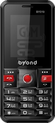 imei.info에 대한 IMEI 확인 BYOND BY019