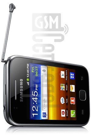 IMEI Check SAMSUNG S5367 Galaxy Y TV on imei.info