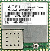 IMEI Check ATEL WM5509 on imei.info